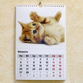 Перекидной 20Х30 13-страничный 2